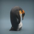 Penguin_3.jpg Emperor Penguin