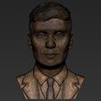 26.jpg Tommy Shelby from Peaky Blinders bust 3D printing ready stl obj