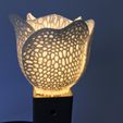 Tulipe voronoi