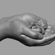 Baby_Hand_11.png hands carrying sleeping baby