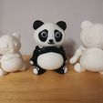 IMG_20240219_062628.jpg Cute multicolor articulated panda