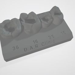 1122.jpg 3D Model teeth for study