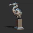 22.jpg Grey Heron bust