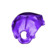 skull - STL10-_Occipital.stl 3D Model of Skull with Brain and Brain Stem - best version