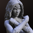 preview6.png Wonder Woman 3D print model