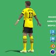 q6.jpg 3D Rigged Marcos Reus Borussia Dortmund 2024
