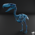Kelenken-skeleton-wax-3.png Kelenken guillermoi - terror bird skeleton 3D print model