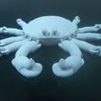 Crab-3.jpeg Flexy crab