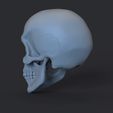 Prev.699.jpg 头骨 3D 打印模型