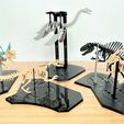 museum_set-3.jpg [3Dino Puzzle] Espinossauro estilo clássico
