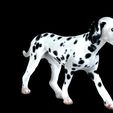 0_00061.jpg DOG - DOWNLOAD Dalmatian 3d model - Animated for blender-fbx- Unity - Maya - Unreal- C4d - 3ds Max - CANINE PET GUARDIAN WOLF HOUSE HOME GARDEN POLICE  3D printing DOG DOG