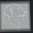 Captura de pantalla 2020-10-25 a las 23.11.49.png Golden Retriever Line Art