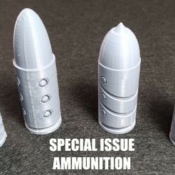 Special-Issue-Ammo.jpg Special Issue Bolt Ammo
