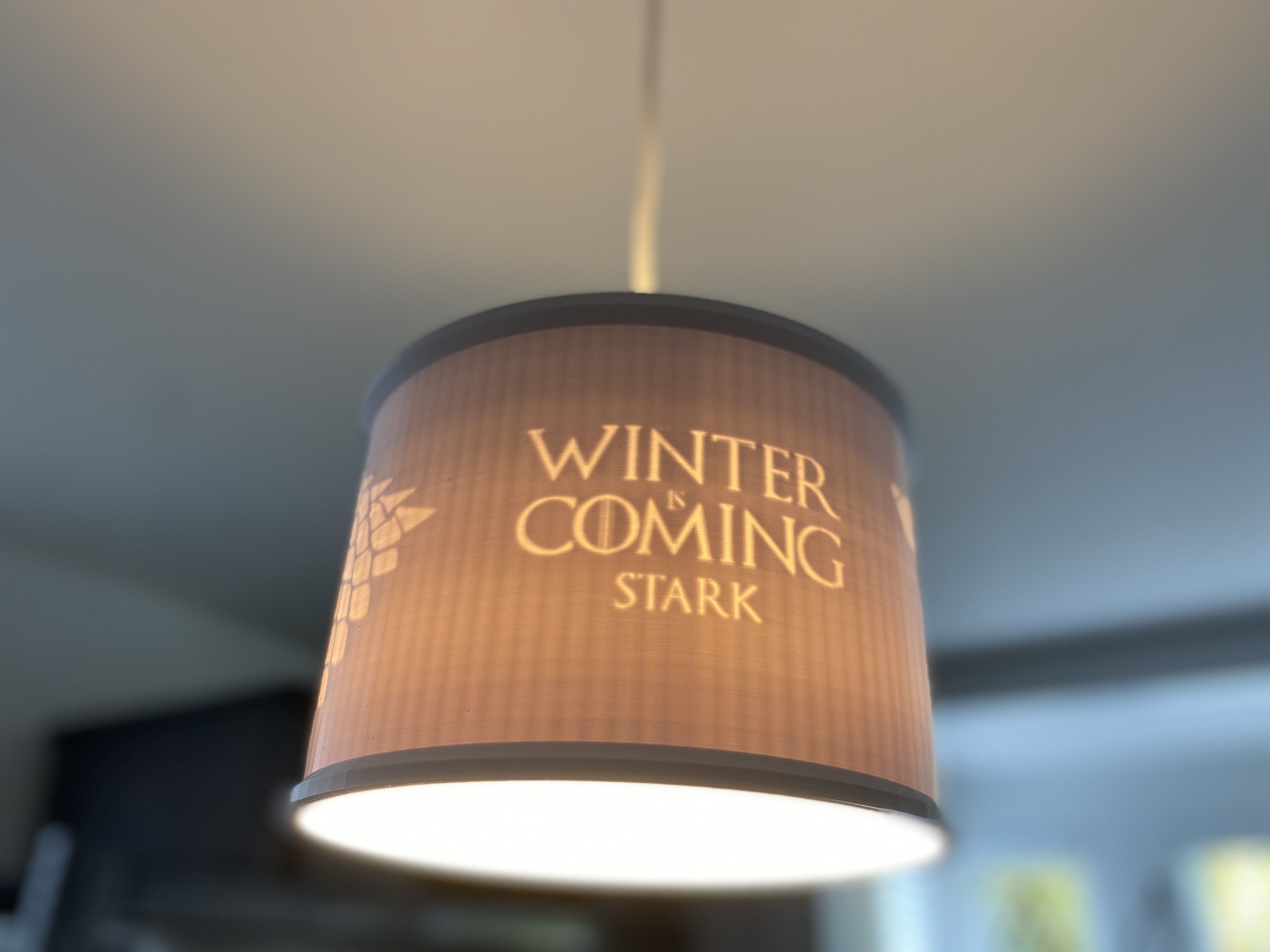 IMG_9097.jpg Free STL file GAME OF THRONES STARK LAMP SHADE・3D print design to download, Ivankahl3D
