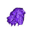 MorbiusAngryGizzyBlends.stl Morbius head sculpt
