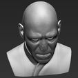 17.jpg Lord Voldemort bust ready for full color 3D printing