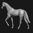 11.jpg Thoroughbred Horse model 3D print model