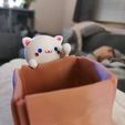 Kawaii Cat with a Planter Box