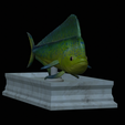 Base-mahi-mahi-6.png fish mahi mahi / common dolphin fish statue detailed texture for 3d printing