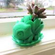 IMG_8134.JPG Blooming Bulbasaur Planter With Leaf Drainage Tray