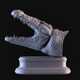 01.png Cabeça de crocodilo