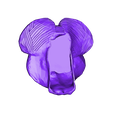 NO support brain bottom drfempop.stl Brain Planter