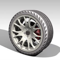 Rueda-1.jpg Wheel with caliper and disc