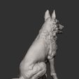 A: } * w.) iy Mey Gp Mbit i German Shepherd 3D print model