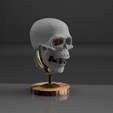 Animation_2021-Mar-26_02-24-54PM-000_CustomizedView10276821091.png SkullLooper