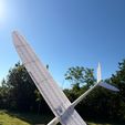 WhatsApp-Image-2026-07-27-at-12.10.18-2.jpeg Microplane V4 , DLG , glider , F3K, F3F