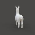 Llama_1.4.jpg Lama Tier