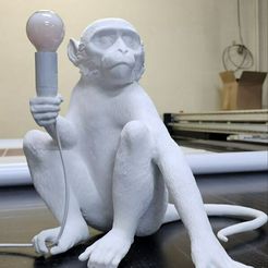 photo_2024-01-24_10-40-58-2.jpg seated monkey lamp