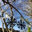 20180313_101524.jpg 2 pairs of flake earrings