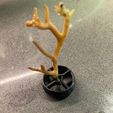 IMG_0048.jpg frag base