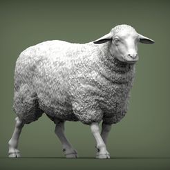walking-sheep5.jpg Archivo STL oveja andante modelo de impresión 3D・Idea de impresión 3D para descargar