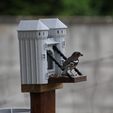 IMG_4111.jpg BIRD FEEDER & DRINKER & CUP