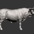 Texas-Longhorn13.jpg Texas Longhorn 3D-Druckmodell