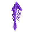 Body.stl Unknown Creatures - Cerberus Skeleton