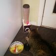 Meeker_eat.jpg Cat Feeder Frame