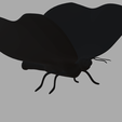 mariposa.png Butterfly