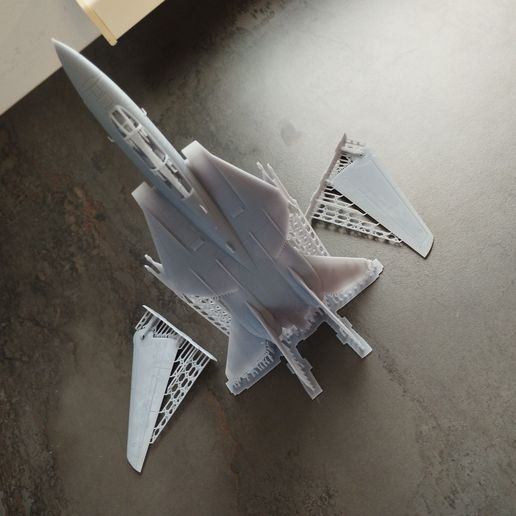 IMG_20250607_192704.jpg F14 Tomcat MSLA