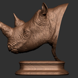 16.png Rhinoceros