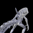 Captura-de-pantalla-722.png Predalien Abscheulichkeit hohe Detail xenomorph