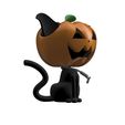 perfil 2.jpg Pumpcat - pumpkin cat
