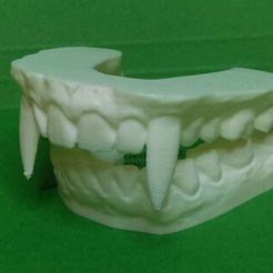 vampteethsample.jpg Free STL file Vampire Teeth Dental Model for Halloween (2 piece - No Supports)・3D printing template to download