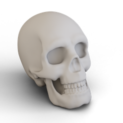 Huamn-Skull-v2-1.png Simple Human Skull