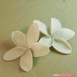 05a.jpg flowers: Plumeria - 3D printable model