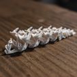_DSF6867.jpg Dragon's spine