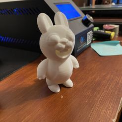 Final-Mr-Hoppington-Rabbit-3D-Print.jpg Mr Hoppington