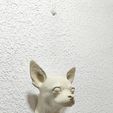 IMG-20250621-WA0026.jpg chihuahua dog head wall mount stl